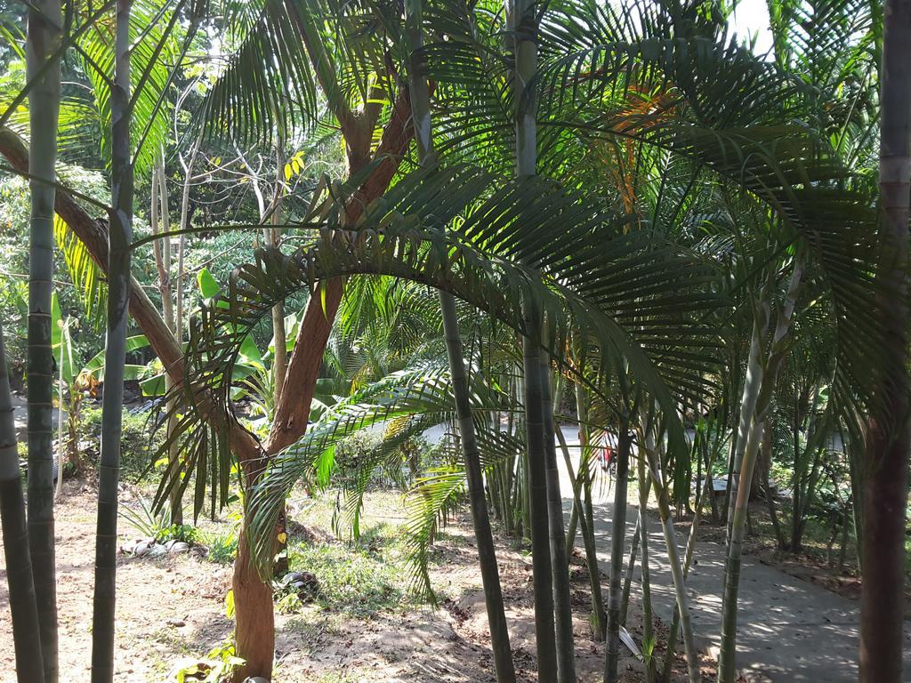 Wilai Villa Lamai Maret Exterior photo